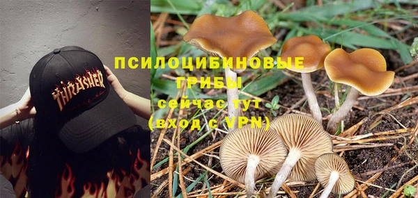 бутират Дмитровск