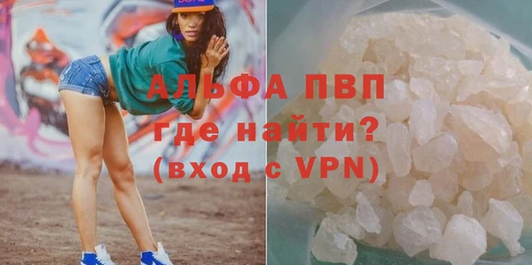 молекула духа Дмитров