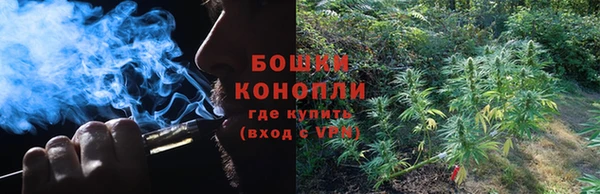 кокаин Дмитриев