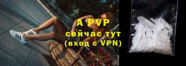 молекула духа Дмитров